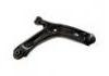 Control Arm:545005235R